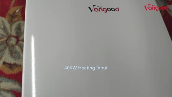 Calentador de agua caliente de Gas Natural de propano de ducha de caldera de géiser instantáneo de máquina de calefacción de casa de 20L