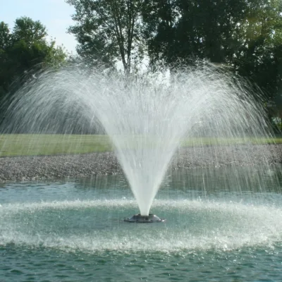 Oferta de fábrica Fuente de baile de agua de jardín grande programada moderna al aire libre